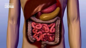 Michel Lotito: The Human Metal Eater