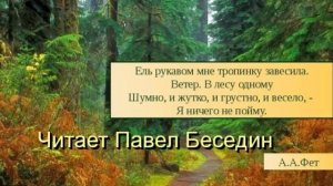 Афанасий Фет   Ель рукавом мне тропинку завесила читает Павел Беседин