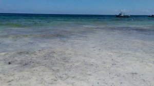 Пляж Диани, Кения