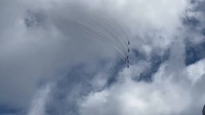 Стрижи в Чебоксарах 555👍