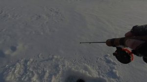 Зимняя РЫБАЛКА на Оби 2021. Ловля ОКУНЯ на БАЛАНСИР . МОРОЗ -30C°..