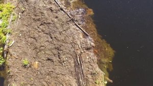 Озеро Шайтан Кировской области