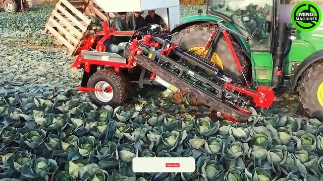 The Most Modern Agriculture Machines That Are At Another Level , How To Harvest Oranges In Farm ▶1