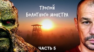 Сквозь эстонскую тайгу на велосипеде. Эстония.