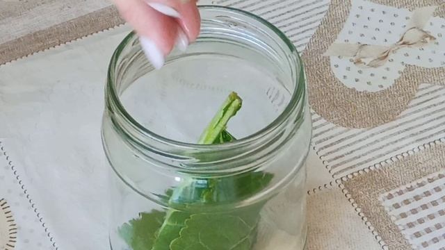 Отличный рецепт соленых зелёных помидор на зиму. Закуска ? смотреть онлайн