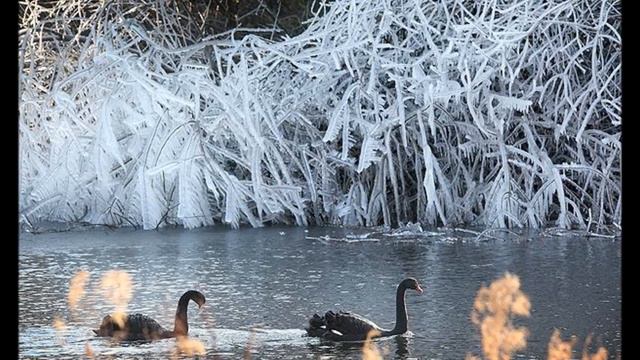 A.Vivaldi - Concerto No.4 "L' Inverno" (I.Allegro non molto) смотреть онлайн