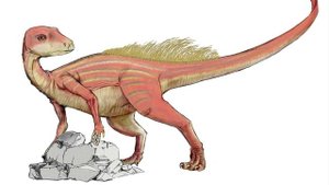 Интересные факты для детей / о пингвинах / развивающее видео