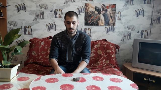 Доказательство мифа о черепахе смотреть онлайн