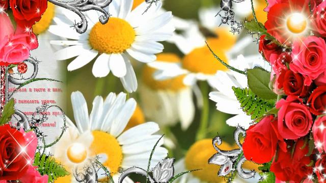 Лови утренний позитив! смотреть онлайн