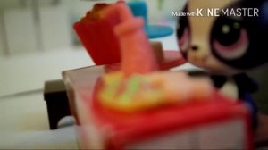 LPS:Магазин (Пэты в магазине)