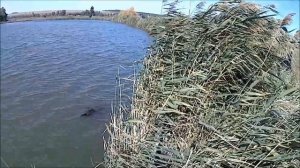 Рыбалка на КМВ, ст. Лысогорская