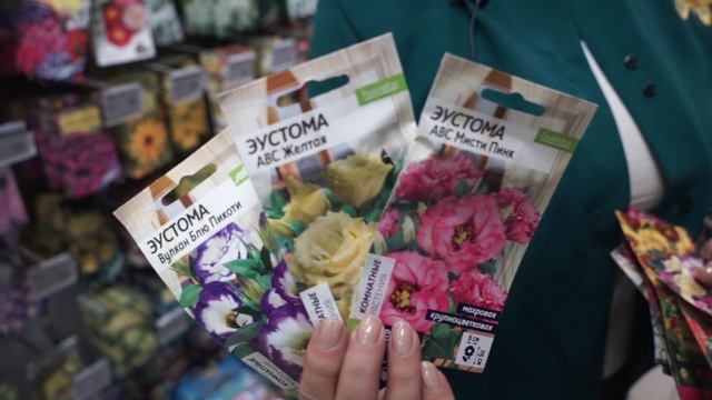 Посейте эти цветы зимой  ✿ Лучшие цветы для посева под зиму  ✿