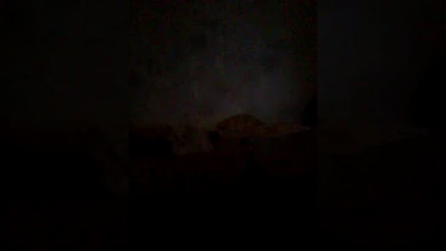 моя кошка меня ненавидит. смотреть онлайн