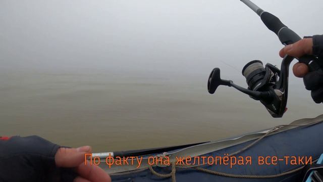 Ловля камбалы. Двое в лодке и собака. Сахалинская рыбалка & Sakhalin fishing | Сахалинская рыбалка