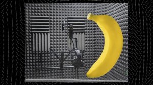 ОТКУДА ПОЯВИЛСЯ ХОЧЕШЬ ПОКАЖУ П...