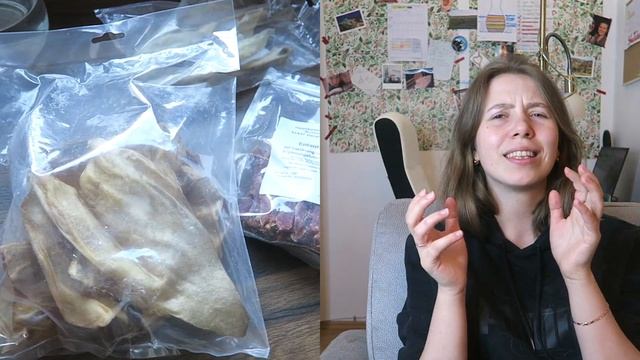 Как мы покупали собаку корги в Германии, полезные советы, стоимость смотреть онлайн