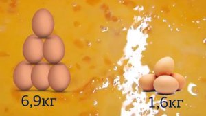 Секреты промышленного производства пельменей
