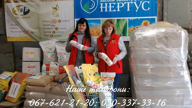 Соняшник ЕС Белла за 2500 гривень смотреть онлайн