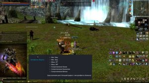 Парные Мечи или Парные Топоры? ⚡ что лучше и в чем отличие? Lineage 2: Homunculus, Airin/Blackbird.