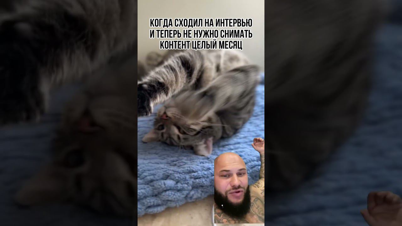 #интервью #продвижение #музтв #бизнесспб #юмор #котики #юмористическийконтент #саморазвитие #рилс