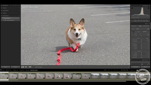 Pentax K1 Mk II Review смотреть онлайн