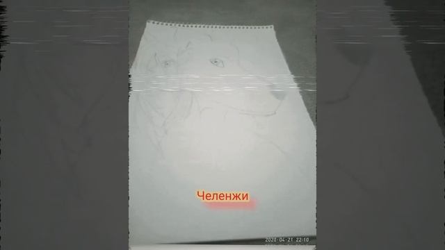 Рисуем разные рисунки！ смотреть онлайн