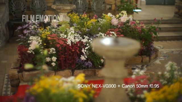 Sony NEX-VG900 + Canon 50mm f0.95 / first test смотреть онлайн