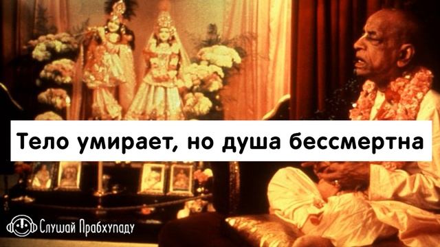 Тело умирает, но душа бессмертна смотреть онлайн