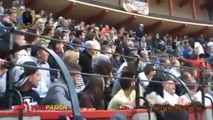 Бык  против Людей