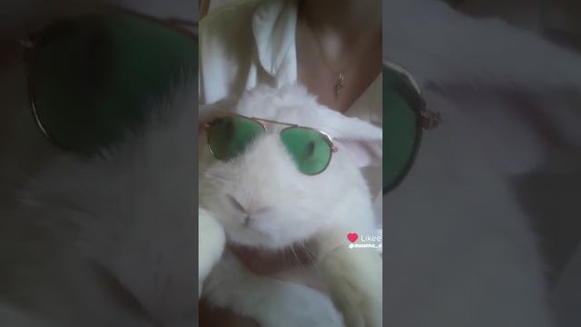 внимание 🤦 НОВЫЙ ГРАФИК 😁