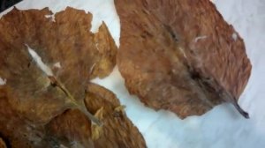 Табак .Ошибки при хранении.mp4