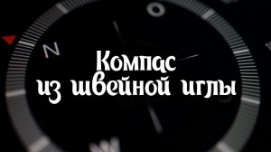 (S) Самодельный компас из швейной иглы #1