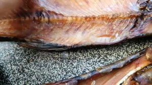 Холодное копчение речной рыбы в Моските