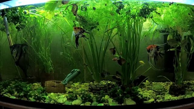 Радиоуправляемая Подводная лодка happycow 777 216 обзор смотреть онлайн