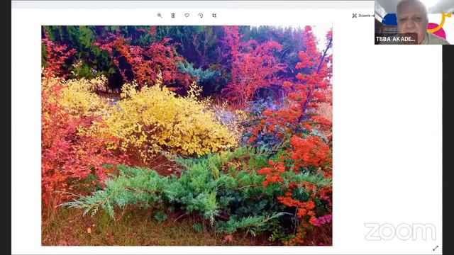 14.07.2021 PROF. DR. ALİ DEMİRSOY " RENKLERİN DANSI" смотреть онлайн