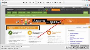 Как делать скриншоты для Advego ru