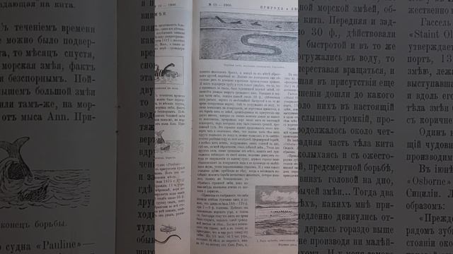 Журнал Природа и Люди 1900 год часть 5. Юбилей железной дороги. Эксклюзив! Морская змея 2. смотреть онлайн