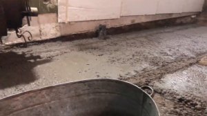 Заливка пола в гараже по уровню керамзитом, марка цемент 500+.