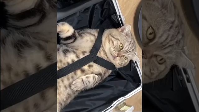 я собрался!