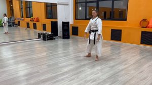 Ката Тайджи-шодан (ката на аттестацию по Фудокан на 3 кю)