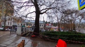 ПОГОДА В ЯЛТЕ ЗИМОЙ 1 ДЕКАБРЯ 2021 ЯЛТА КРЫМ СЕГОДНЯ