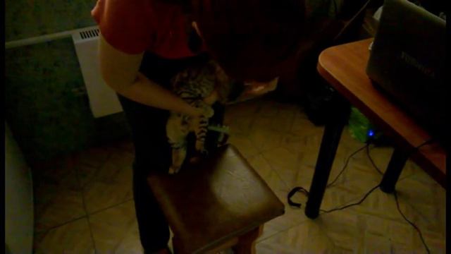 прикол с ушами смотреть онлайн