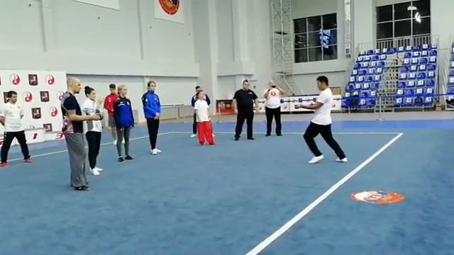 Всероссийский мастер-класс по синъицюань