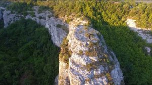 Зверобатика, Тест лошадка, расширенный обзор