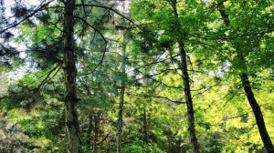 Плюсы и минусы отдыха в санатории Ташминводы