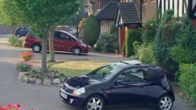 Кошка Обезголовление Cat Head Cut off смотреть онлайн