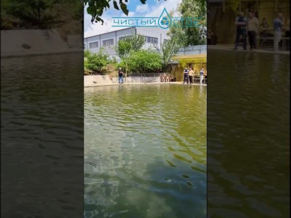 Отчет встречи 1 июля Чистый Сток