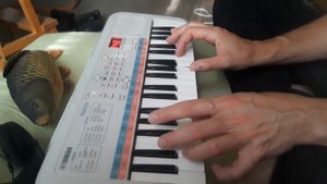 Yamaha Remie Pss E 30 synthesizer , song idea