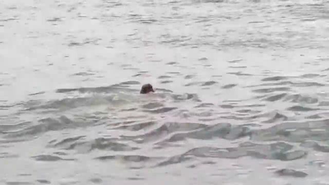 купание смотреть онлайн