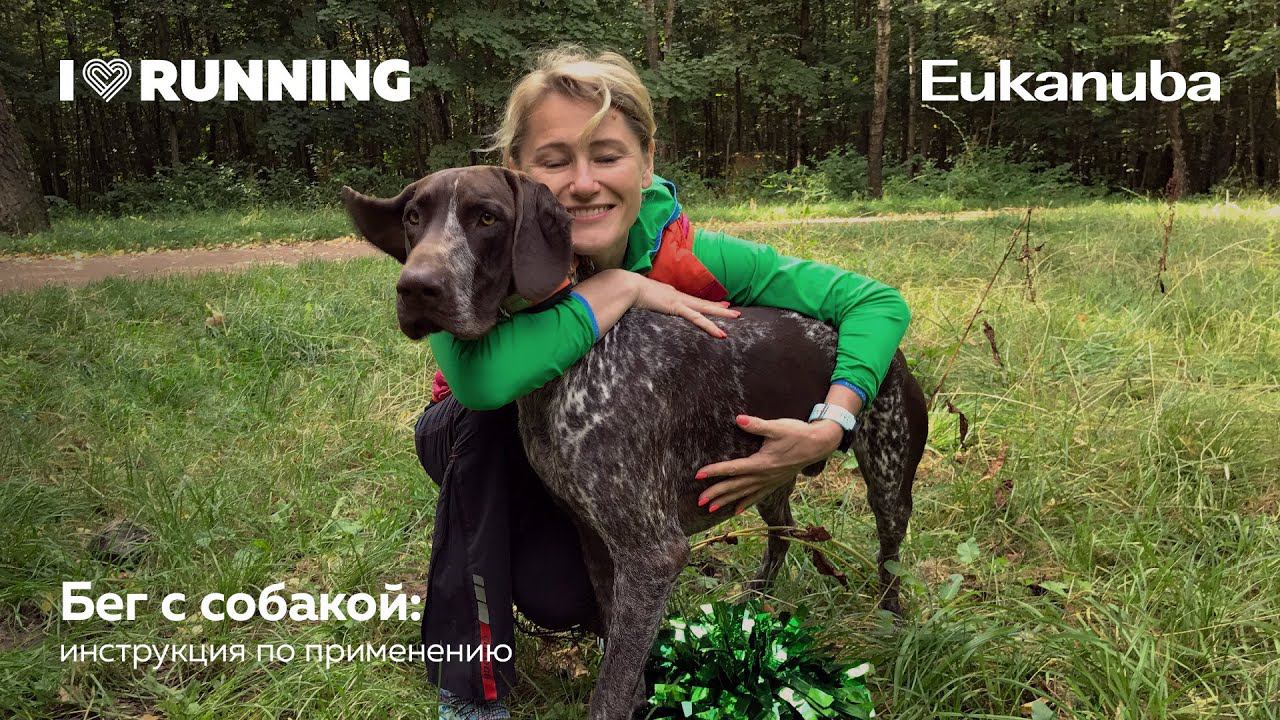 Бег с собакой: инструкция по применению. Лекторий от Eukanuba при поддержке I Love Running смотреть онлайн
